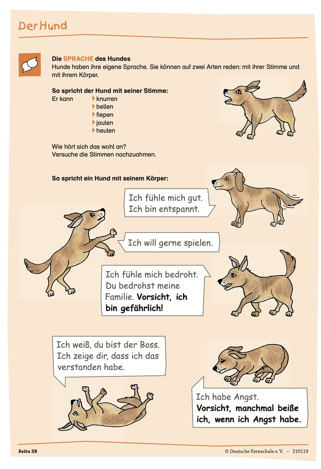 Themenheft 6: Hund, Katze - Mensch – Bild 3